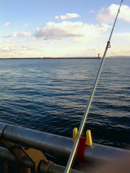 またまた行ってしまいました